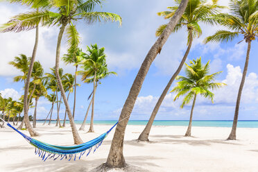 Hammock between palm trees on beach, Dominican Republic, The Caribbean - CUF19747