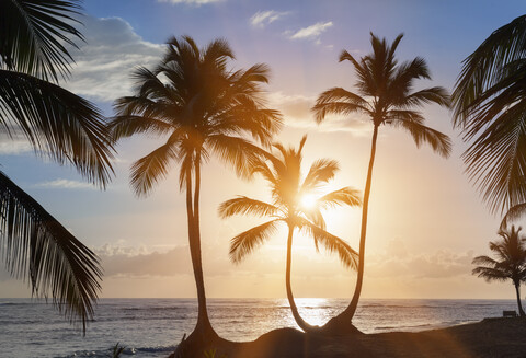 Silhouettierte Palmen bei Sonnenuntergang am Strand, Dominikanische Republik, Karibik, lizenzfreies Stockfoto