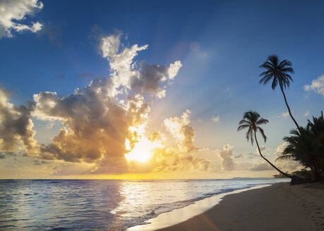 Palme als Silhouette am Strand bei Sonnenuntergang, Dominikanische Republik, Karibik - CUF19760