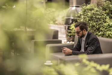 Businessman reading smartphone texts on hotel garden sofa, Dubai, United Arab Emirates - CUF20051