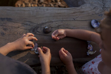 Kinder spielen mit Muscheln auf einem Baumstamm - ISF07447