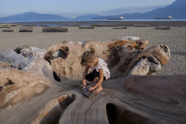 Kleines Mädchen spielt auf einer Holzskulptur am Strand, Vancouver, British Columbia, Kanada - ISF07449