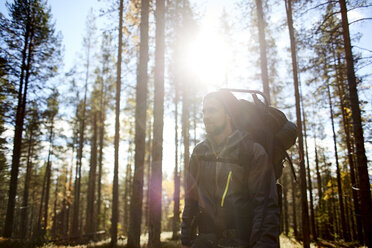 Wanderer zwischen Bäumen an einem sonnigen Tag, Keimiotunturi, Lappland, Finnland - CUF20083