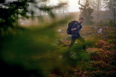 Wanderer durchqueren den Park, Sarkitunturi, Lappland, Finnland - CUF20107