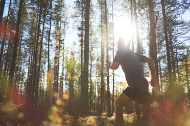 Mann beim Trailrunning im Wald, Keimiotunturi, Lappland, Finnland - CUF20109