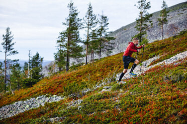 Trailrunner, der mit Trekkingstöcken einen steilen Berg hinaufläuft, Kesankitunturi, Lappland, Finnland - CUF20120