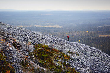 Trail runner ascending rocky steep hill, Kesankitunturi, Lapland, Finland - CUF20122