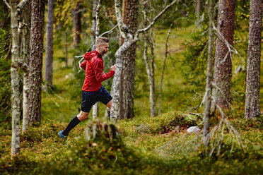 Mann beim Trailrunning im Wald, Kesankitunturi, Lappland, Finnland - CUF20129