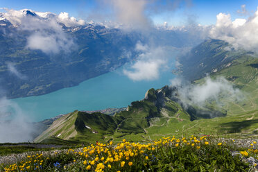 Blick von oben auf den Fluss im Tal, Brienzer Rothorn, Berner Oberland, Schweiz - CUF20192