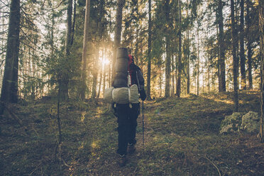 Schweden, Sodermanland, Rucksacktourist wandernd in abgelegenem Wald im Gegenlicht - GUSF00918