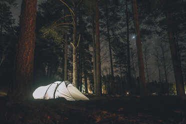 Schweden, Sodermanland, Zelt im Wald unter Sternenhimmel bei Nacht - GUSF00926