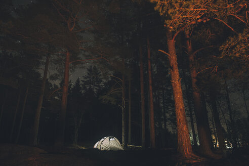 Schweden, Sodermanland, Zelt im Wald unter Sternenhimmel bei Nacht - GUSF00927