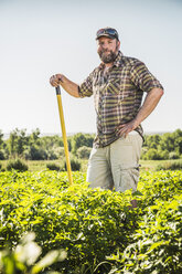 Bearded man in vegetable patch leaning against hoe looking at camera smiling - CUF20287