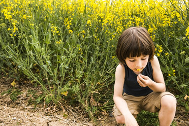 Junge hockt und riecht an einer gelben Blume auf dem Feld - CUF20455