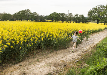 Boy running along yellow flower field track pulling red balloon - CUF20458