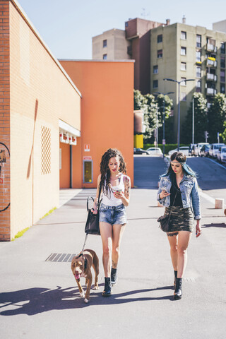 Zwei junge Frauen führen Pitbull in städtischer Wohnsiedlung aus, lizenzfreies Stockfoto