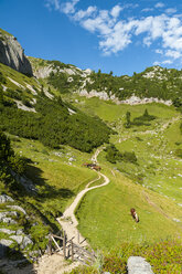 Österreich, Tirol, Maurach, Rofangebirge, weidende Pferde - UMF00823