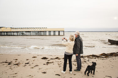 Ältere Frau fotografiert in voller Länge, während sie neben einem Mann steht, der seinen Hund am Strand an der Leine hält, gegen den klaren Himmel - MASF07607