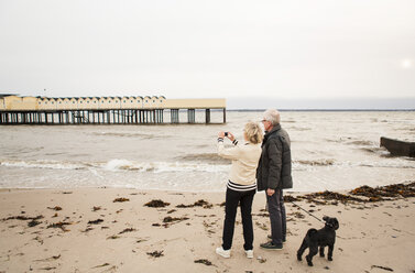 Full length of senior woman photographing while standing by man holding dog's leash at beach against clear sky - MASF07607