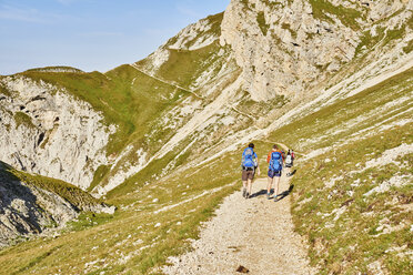 Rückansicht von Wanderern auf einem Bergpfad, Österreich - CUF21066