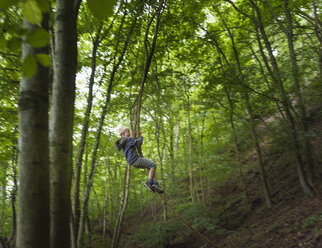 Junge im Wald auf Baum schwingend - CUF21162