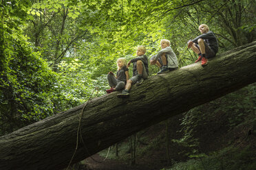 Boy in forest sitting on fallen tree - CUF21164