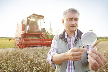 Landwirt in einem Weizenfeld, der durch ein Vergrößerungsglas auf eine Weizenähre schaut - CUF21170