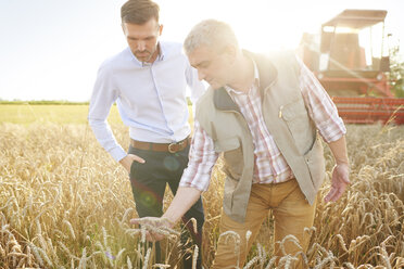 Landwirt und Geschäftsmann auf einem Weizenfeld bei der Qualitätskontrolle von Weizen - CUF21218