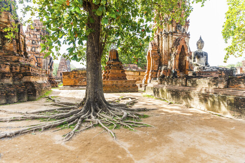 Thailand, Ayutthaya, Ruinen des Wat Mahathat, lizenzfreies Stockfoto