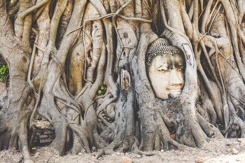 Thailand, Ayutthaya, Buddha-Kopf zwischen Baumwurzeln im Wat Mahathat - WPEF00395