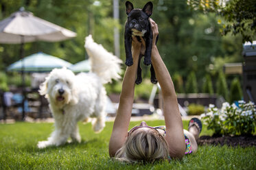 Woman lying on grass holding French Bulldog in air, Goldendoodle running in background - ISF07577