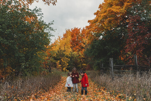 Zwei Mädchen und ihre kleine Schwester betrachten Herbstblätter auf einem ländlichen Weg - ISF07638