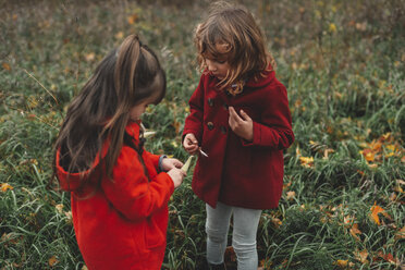 Zwei junge Schwestern betrachten Wildblumenschoten auf einem Feld - ISF07639