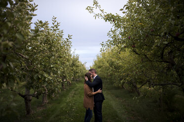 Romantic mid adult couple embracing in orchard - ISF07723