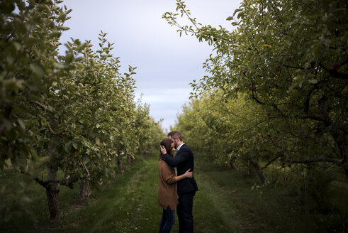 Romantische Umarmung eines erwachsenen Paares im Obstgarten - ISF07723