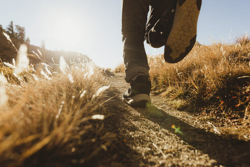 Beine eines männlichen Wanderers, der auf einem Feldweg wandert, Mineral King, Sequoia National Park, Kalifornien, USA - ISF07776