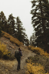 Rückansicht eines männlichen Wanderers, der einen Bergpfad hinaufwandert, Mineral King, Sequoia National Park, Kalifornien, USA - ISF07785