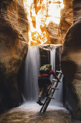 Männlicher Wanderer klettert auf Höhlenleitern, Zion National Park, Utah, USA - ISF07811