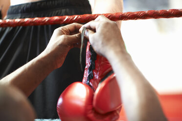 Trainer hilft Boxer beim Anziehen der Handschuhe, Mittelteil - CUF21414