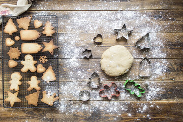 Baking gingerbread cookies - SKCF00468