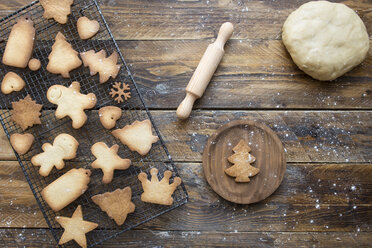 Verschiedene selbstgebackene Lebkuchen auf einem Abkühlgitter und eine Teigkugel - SKCF00470