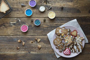 Decorated Gingerbread Cookies - SKCF00482