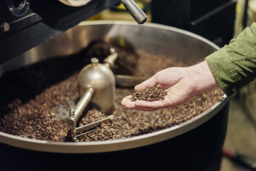 Männliche Hand hält Kaffeebohnen aus dem Röster - CUF21787