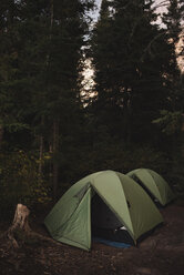 Zwei Zelte im Wald aufgeschlagen, Sonnenuntergang - CUF21897