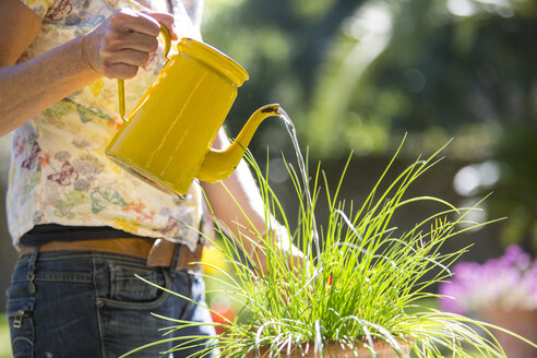 Cropped view of woman watering plants in garden - CUF21983