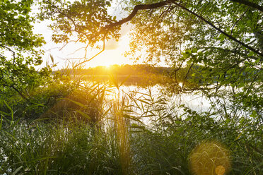 Sonnenuntergang über dem See, Osterseen, Bayern, Deutschland - CUF22033