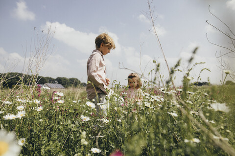 Siblings picking flowers on a meadow stock photo