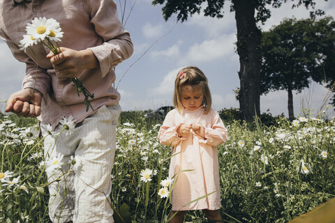 Siblings picking flowers on a meadow stock photo