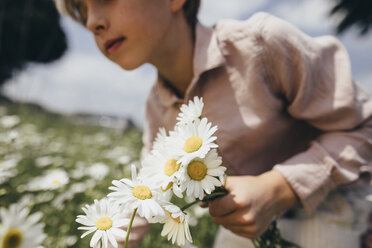Junge pflückt Blumen auf einer Wiese - KMKF00267