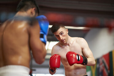 Two boxers sparring in boxing ring - CUF22150